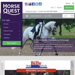 horsequest uk|horse quest uk for sale.